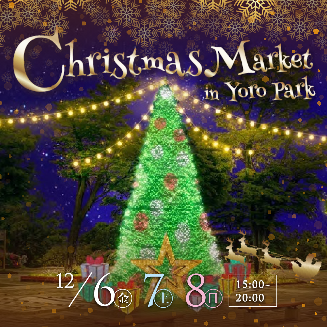 Christmas Market in Yoro Park